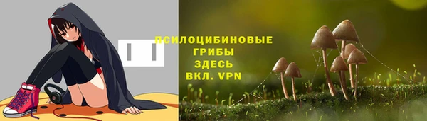 крисы Балабаново