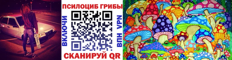 купить  сайты  Отрадное  Галлюциногенные грибы ЛСД 